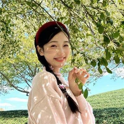 南方的野兽
